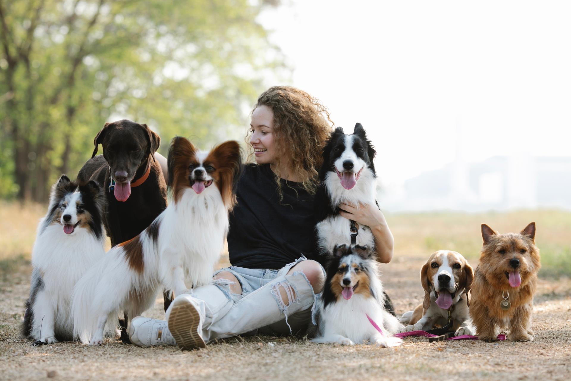 Woman with Dogs