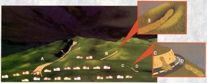 Landslide Hazardous Areas