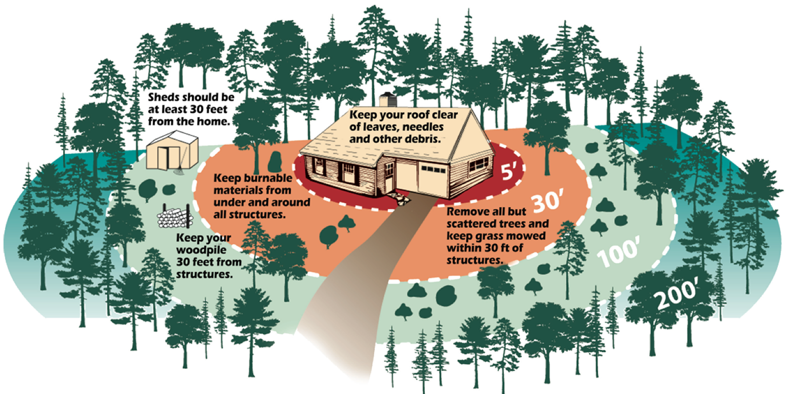 defensible space