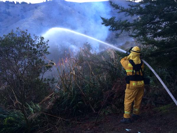 Wildfire Firefighter