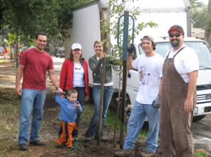 Group of Volunteers around Tree